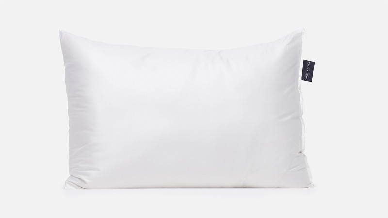 Luxury Silk Pillow 2