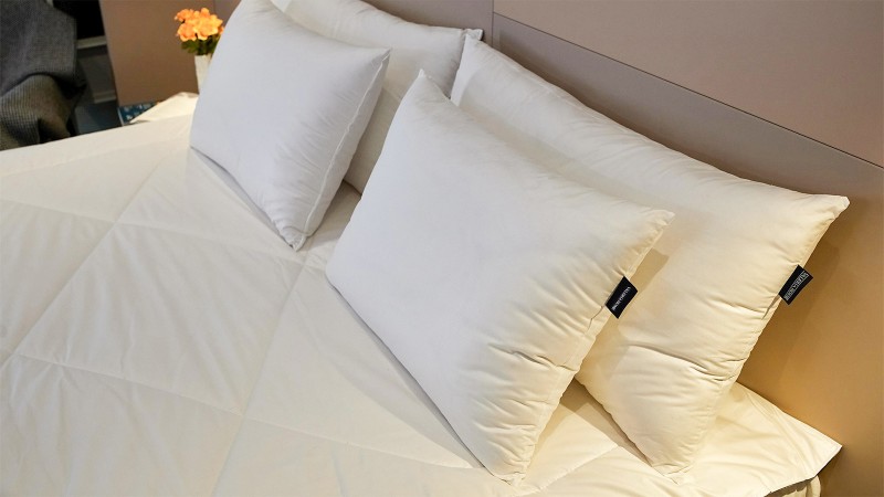 Bio Cotton Pillow 2