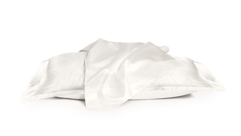 Mulberry Silk Pillowcase 2