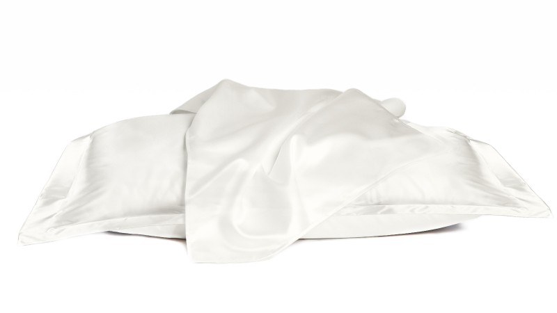 Promo Pack 2 Mulberry Silk Pillowcases 2